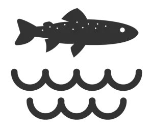 Trout water icon