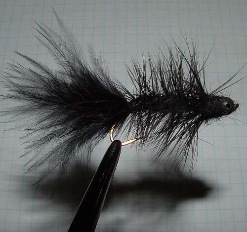 Beadhead Wooly Bugger - Peacock/Black Tail