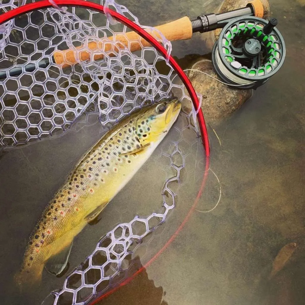 Orvis Clearwater Pic