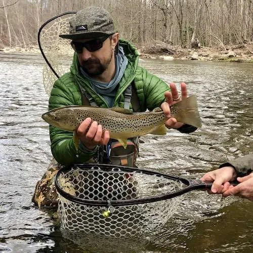 Brown-trout-Pigeon-River