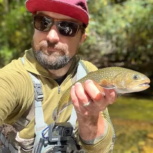 Best Dry Flies for Trout (Top 10) + How to Tie, FAQ & Entomology