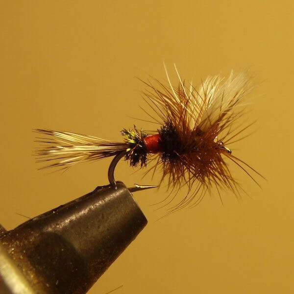 3 HOPPER Trout DRY Flies MIDGE Terrestrial HOPPERS Dries Fly Fishing Size  10,12